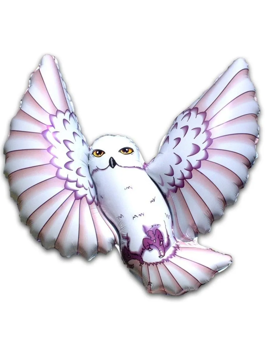 33vnx5uoqsp5i1c51zsae2qcolkgdxma